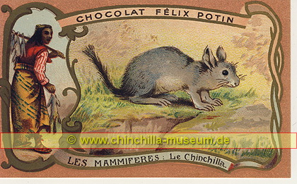 Chocolat Felix Potin - Chinchilla